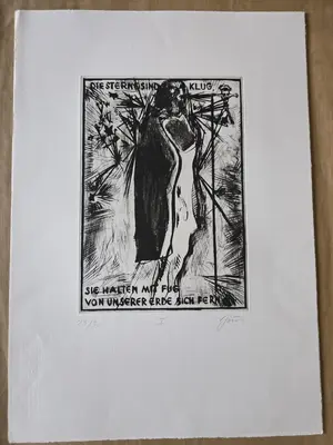 Artikel 256003