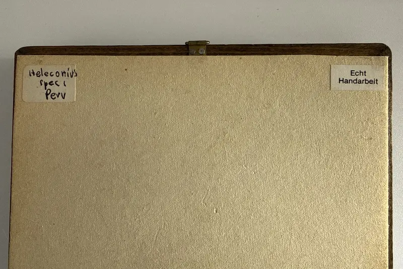 Foto Art Nr. $artikelnummer