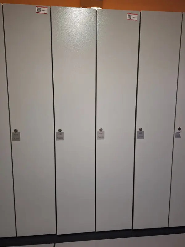 ÖVG Versteigerungen - 2er Spind