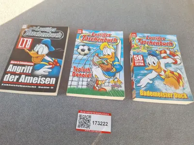 Artikel 173222