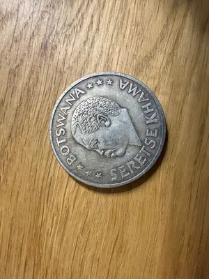 Artikel 219234