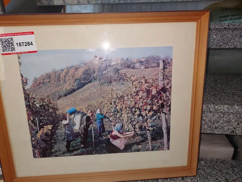 Foto Art Nr. $artikelnummer