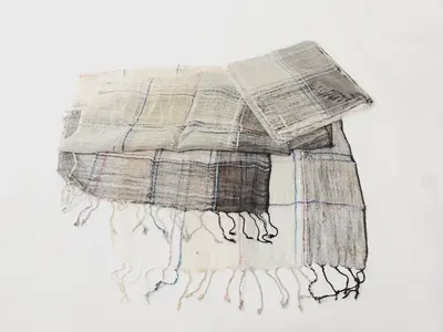 Artikel 246285