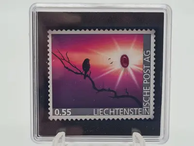 Artikel 279581