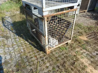Artikel 238630