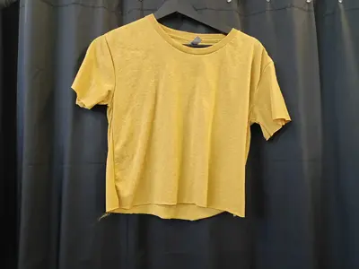 Artikel 265724
