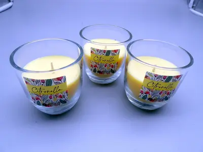 Artikel 215860