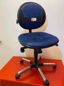 Charity-Versteigerung für Linda / Rotary Club Voitsberg-Köflach