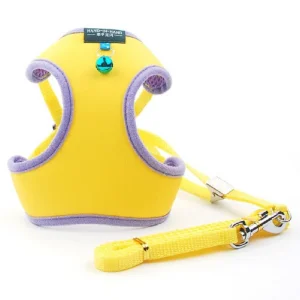 Charity-Versteigerung für Linda / Rotary Club Voitsberg-Köflach