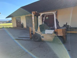 Charity-Versteigerung für Linda / Rotary Club Voitsberg-Köflach