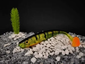 Anhänger / Bauzubehör / Fitnessgeräte / Infrarotkabine