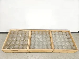 Monatsversteigerung April