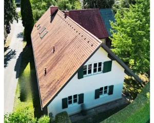 Versteigerungsfoto