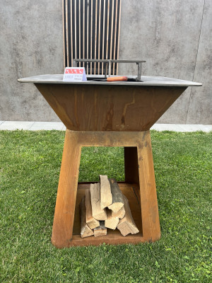 Art. 138006