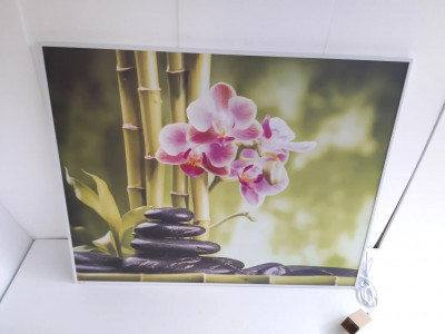 Art. 644014