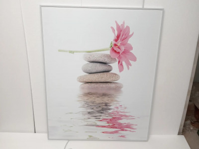 Art. 644024