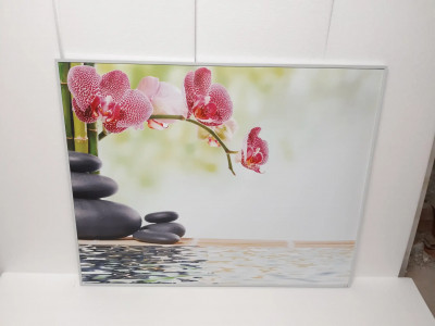 Art. 644035