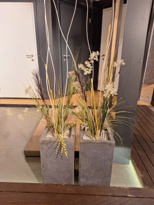 Art. 146081