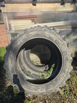 Art. 594083