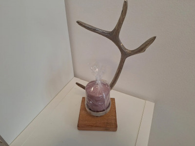 Art. 145138