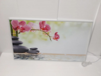 Art. 644154
