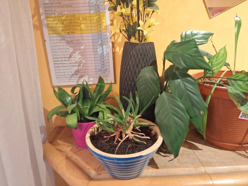 Foto Art Nr. $artikelnummer