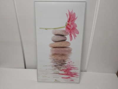 Art. 644170