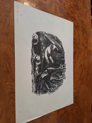 Art. 143209