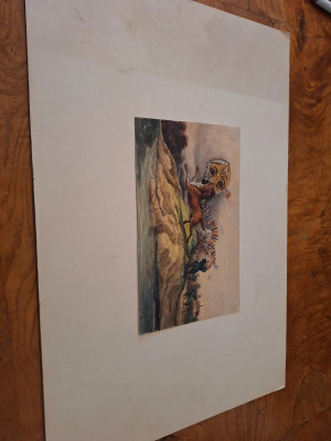 Art. 143212