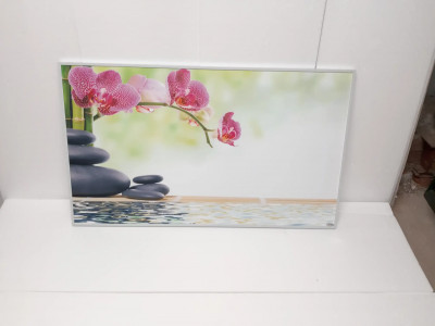 Art. 644249