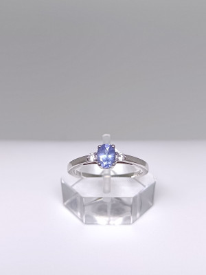 Art. 558257