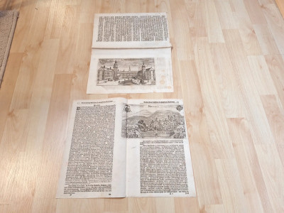 Art. 142262