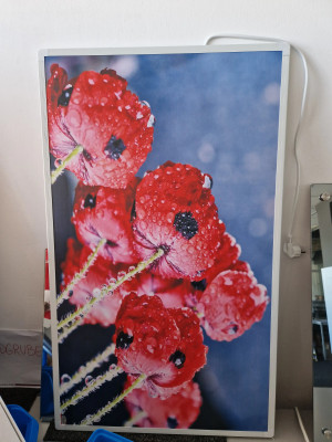 Art. 486283