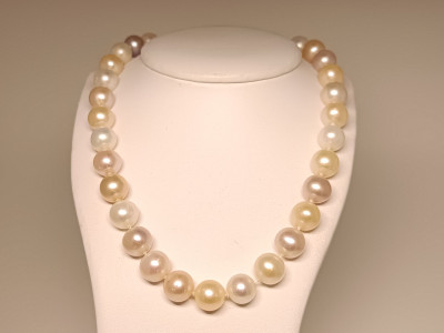 Art. 558314