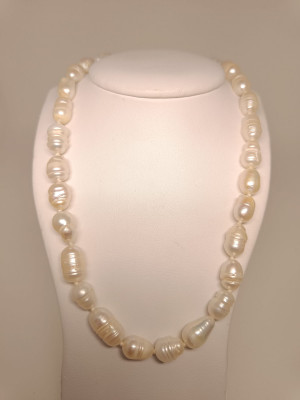 Art. 558315