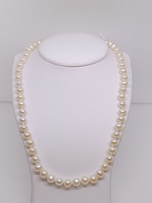 Art. 558318