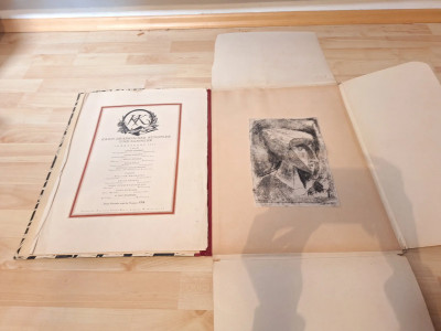Art. 142349