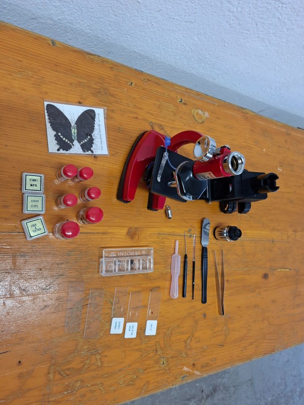 Foto Art Nr. $artikelnummer