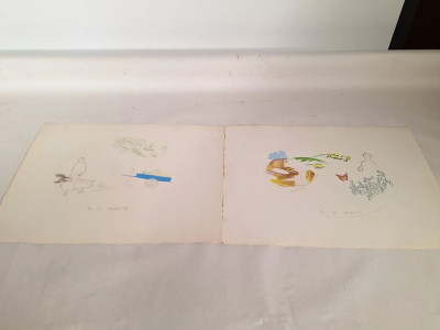 Art. 108505