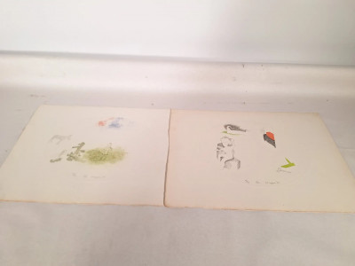 Art. 108506