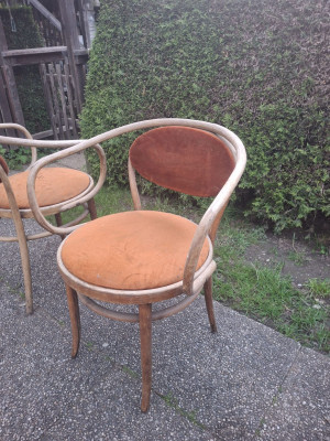 Art. 184586