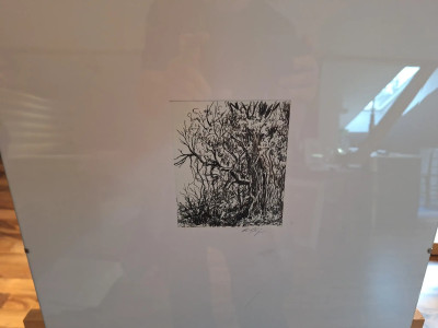 Art. 333597