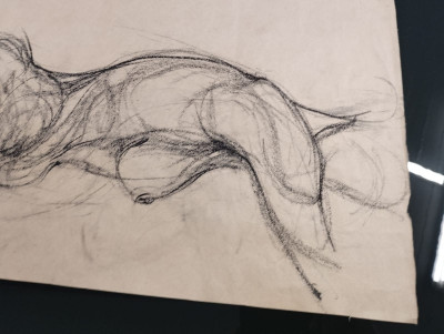 Art. 184599