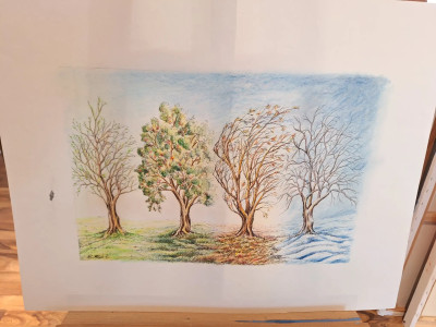 Art. 333603