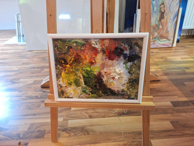 Art. 447608