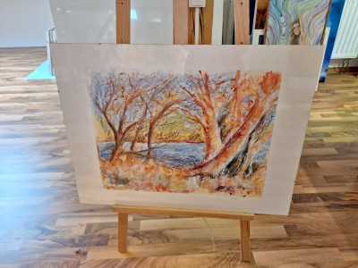 Art. 447611