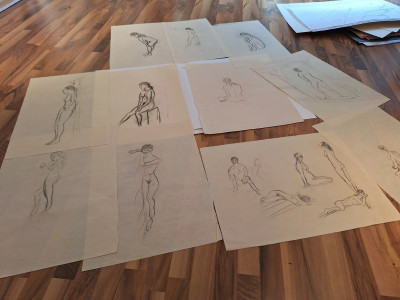 Art. 333613