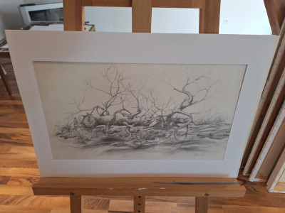 Art. 333620