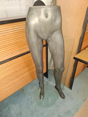 Art. 184622