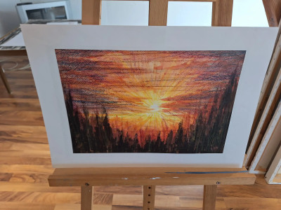 Art. 333623